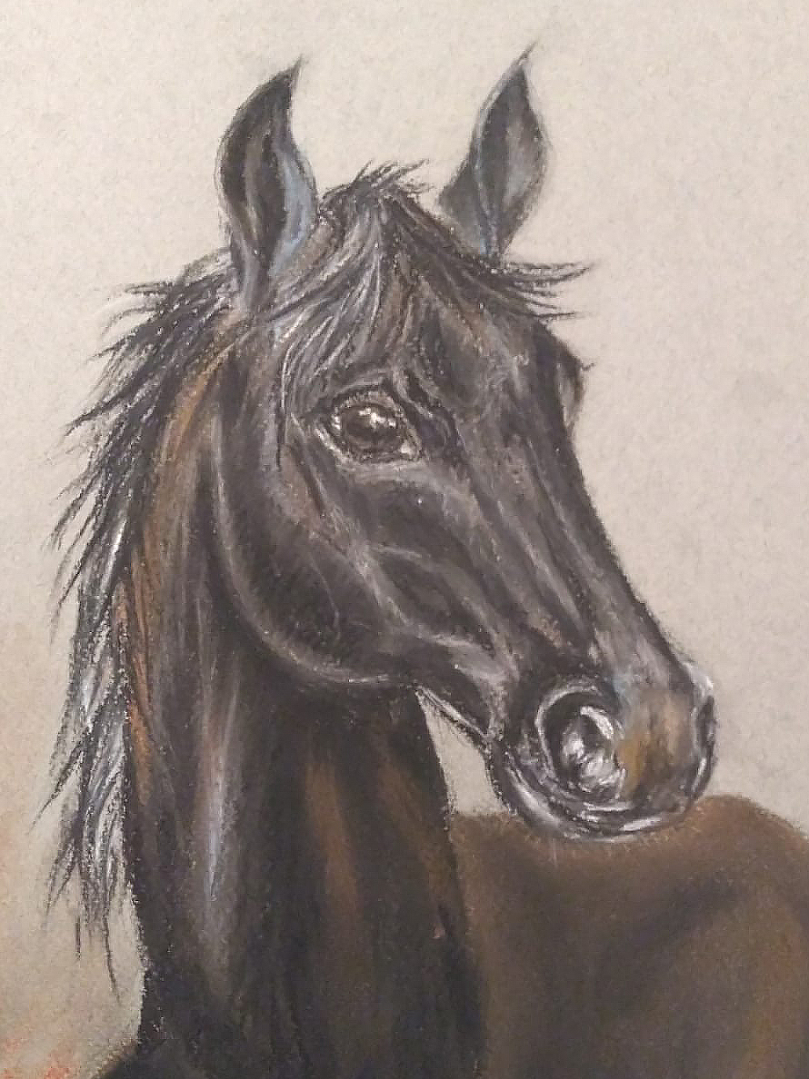 black horse