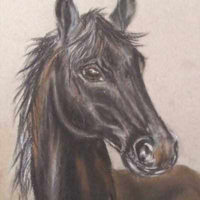 drawing